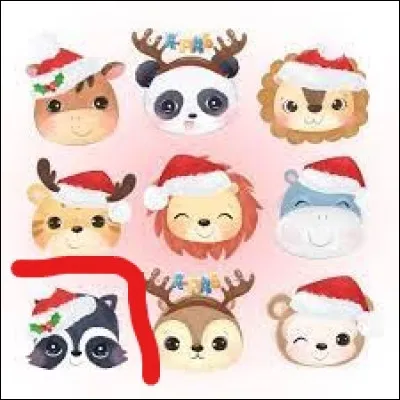 Quel est l'animal en rouge ?