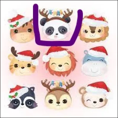 Dernière fois, quel est l'animal entouré de violet ?