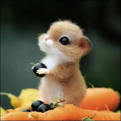 Quel est ton animal préféré ?