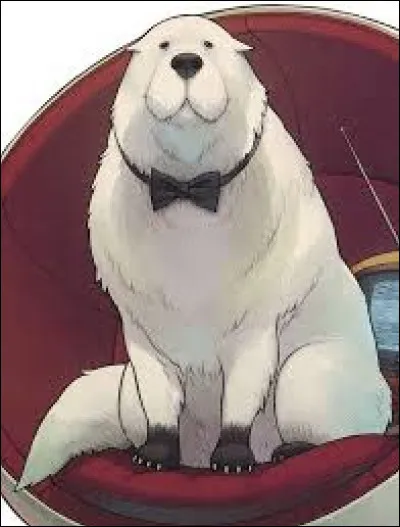 Quel est son pouvoir ?