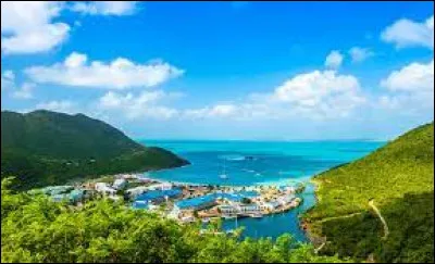 Quel pays partage l'île de Saint-Martin avec la France dans les Caraïbes ?