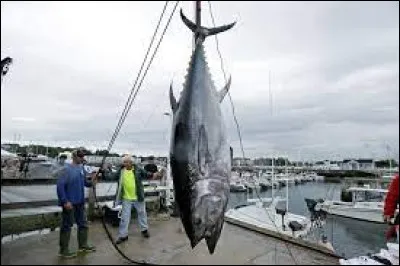 Quelle lettre faut-il enlever pour obtenir la manière de s'exprimer ?