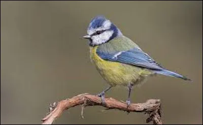 Quelle lettre faut-il remplacer pour obtenir la réunion de divers composants ?