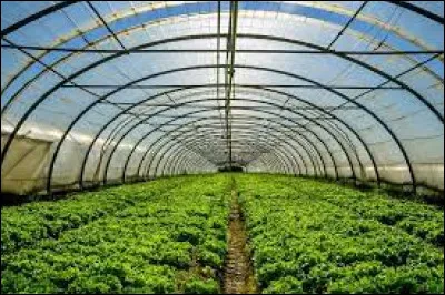 Quelle lettre faut-il remplacer pour obtenir notre planète ?