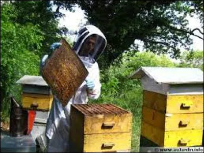 Quelle lettre faut-il ajouter pour obtenir un petit récipient ?