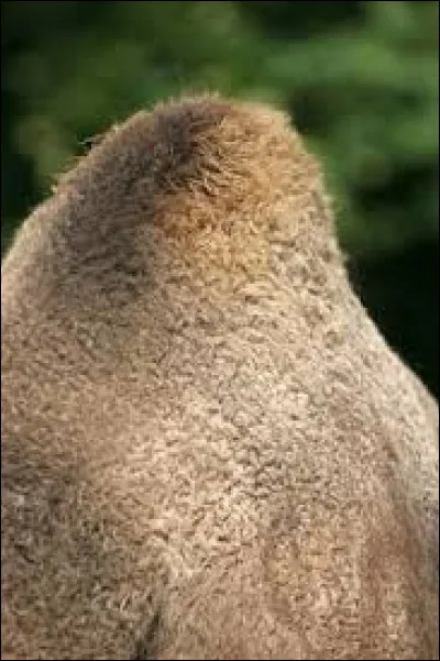 Quelle lettre faut-il remplacer pour obtenir un trou large et profond ?