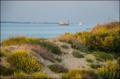 L'île est située à 500 mètres, à vol d'oiseau, du fort Boyard.