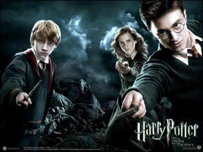 Les Reliques de la mort ( partie I ) : Qui, Harry, Hermione et Ron surprennent-ils en train d'espionner au 12, square Grimmaurd ?