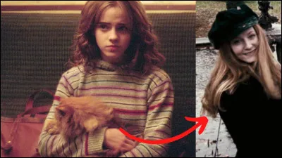 Le Prisonnier d'Azkaban : Quel est le nom de l'animal d'Hermione ?
