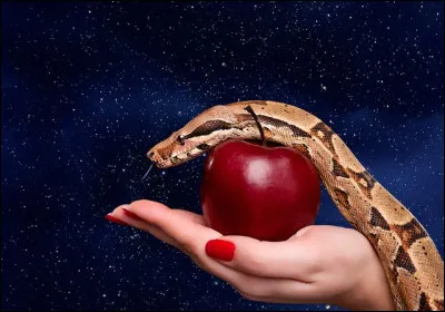 Comment est le péché "véniel" ?