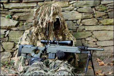 Quel est le nom en S donné à un tireur d'élite embusqué, capable d'atteindre une cible à longue distance ?