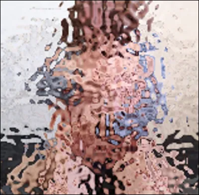 Quelle est cette pratique en S qui consiste à faire des vidéos érotiques ou pornographiques à usage privé, genre très prisé par les célébrités ?