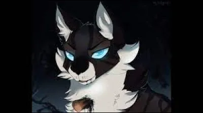 Ton frère est parti en forêt et n'est toujours pas revenu. Que fais-tu ?