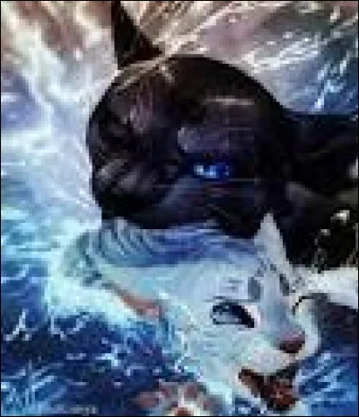 Il n'y a plus de gibier, sur le tas. Que fais-tu ?