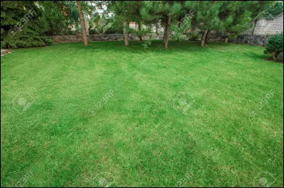 Que signifie cette expression : "Se faire couper l'herbe sous le pied" ?