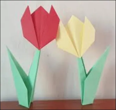 De quelles fleurs s'agit-il ?