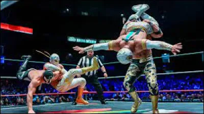 Dans quel sport utilise-t-on le terme de la lucha libre, également désignée comme lutte mexicaine au Québec ?