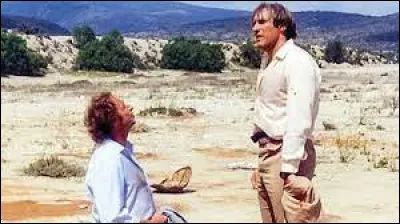 Quel est le titre de ce film qui réunit Gérard Depardieu et Pierre Richard au Mexique, à Acapulco ?