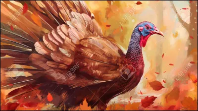 Quand a lieu le premier Thanksgiving ?