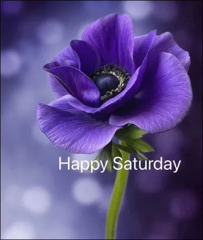 Qui chante "Happy" ?