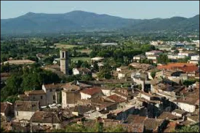 Cette commune du département du Var, peuplée de 11 000 habitants, située au nord du massif des Maures, c'est ...