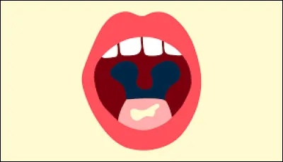 La Suisse a-t-elle plus ou moins de langues officielles que la Belgique ?