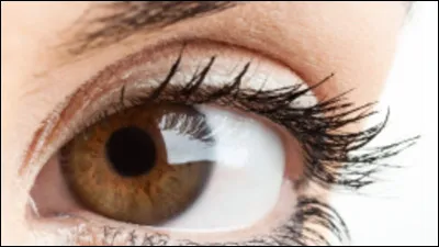 De quelle couleur sont tes yeux ?