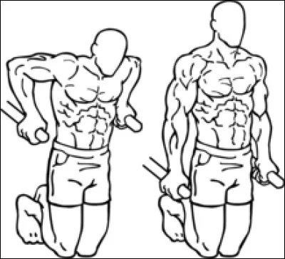 Comment s'appelle l' exercice polyarticulaire de musculation destin&eacute; &agrave; d&eacute;velopper principalement la force et le volume des triceps, des pectoraux et des &eacute;paules (delto&iuml;de ant&eacute;rieur) ?