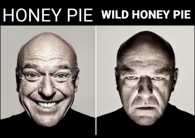 Quel groupe avait la chanson "Honey pie" à son répertoire ?