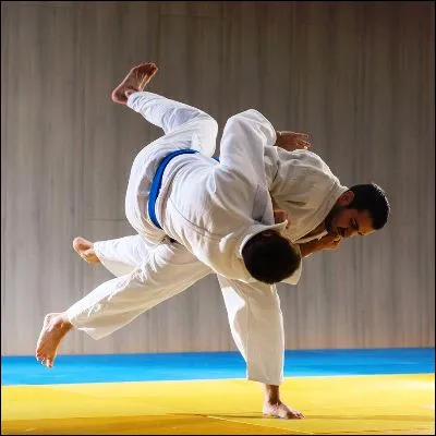 Quelle judoka française a remporté six titres de championne du monde des poids mi-moyens ?