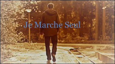 Qui est l'interprète de la chanson intitulée "Je marche seul" ?