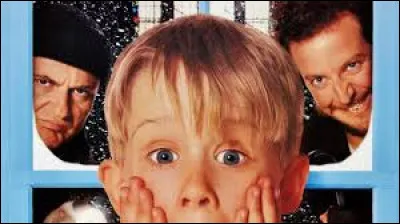 Dans le film "Maman, j'ai raté l'avion !", dans quelle ville la famille McCallister se rend-elle pour passer les fêtes de Noël ?