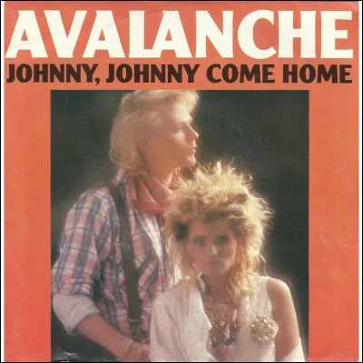 À quel groupe faut-il attribuer le titre "Johnny come home" ?