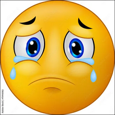 Comment appelle-t-on un texte dans lequel le but est de susciter la pitié du lecteur ?