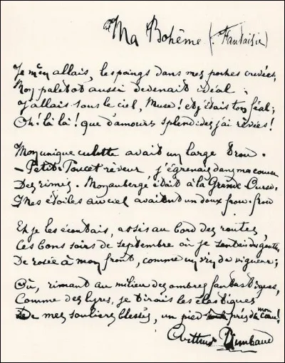 Que veut dire l'expression : ''Mon paletot aussi devenait idéal'' ?