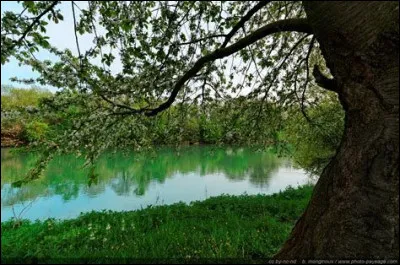 Pour jean Dutourd, où a lieu de séminaire ?