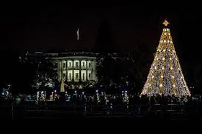 Quel président américain a été le premier à allumer la célébrissime "arbre de Noël national" à Washington D.C. ?