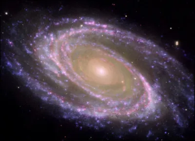 Comment te définirais-tu ?