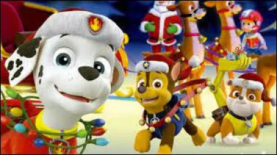 Une équipe de chiens dirigée par l'énergique Ryder est toujours prête à venir en aide aux habitants de la grande vallée. Quel est ce dessin animé ?