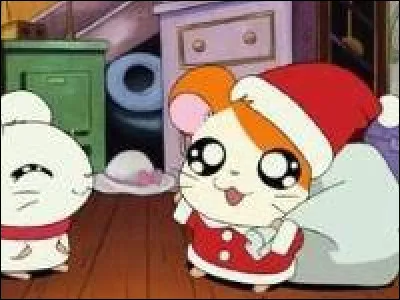 Saurez-vous nommer ce petit hamster ?