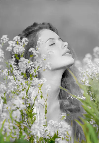 Qui chantait "♪ Comment peut-elle encore lui plaire, elle au printemps, lui en hiver" ?