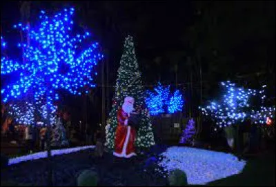 Nous terminons cette petite pause dans les îles avec ces illuminations, à Saint-Denis. Préfecture de son département elle se situe ...