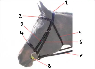 Comment s’appelle le n°5 ?