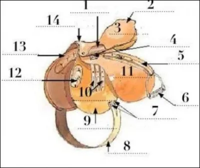 Comment s’appelle le n°9 ?