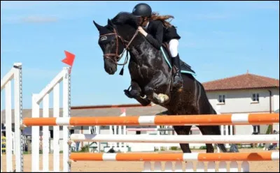 Quelle est cette discipline ?