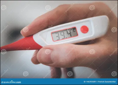 Qui interprète la chanson "La Fièvre dans le sang"
