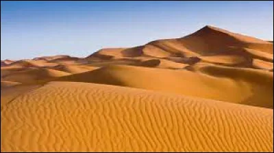 Le Sahara est le plus grand désert du monde.