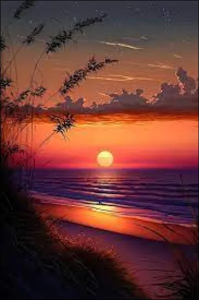 Bon, une question pour le plaisir des yeux (enfin, peut-être). 
Quelle image préfères-tu ?