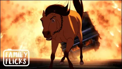 Quelle est cette série ?