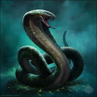 Comment reconnaitre le mâle de la femelle ?